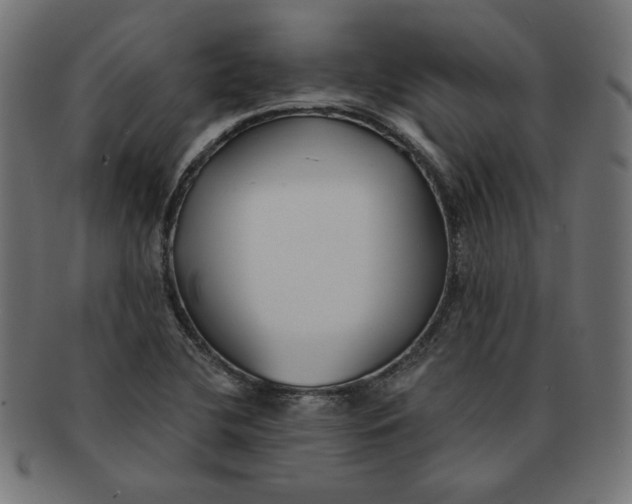 X0000091671412200709201210