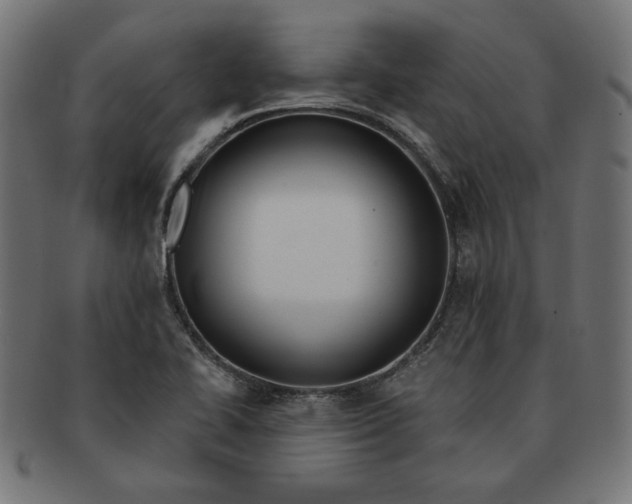 X0000091671414200709201210