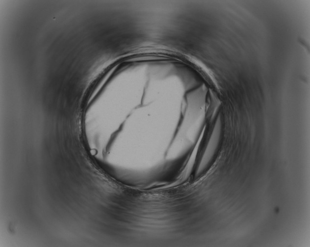 X0000091671415200709201210