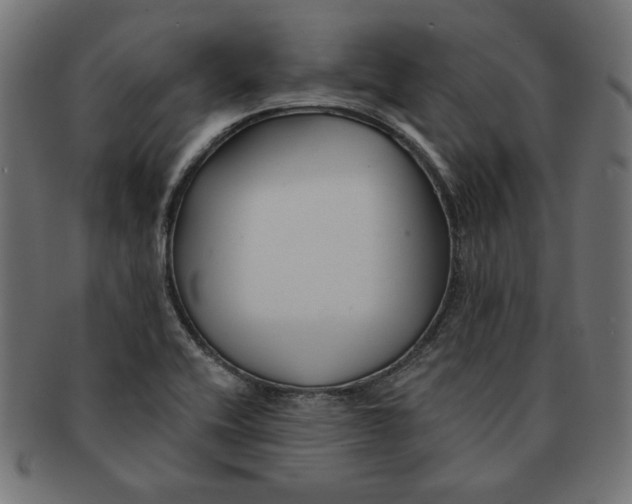 X0000091671416200709201210