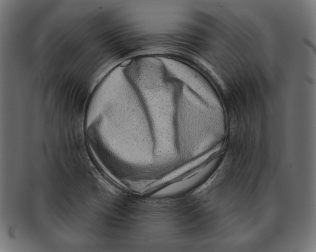 X0000091671417200709201210