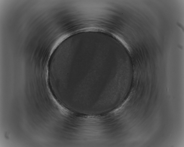 X0000091671418200709201210