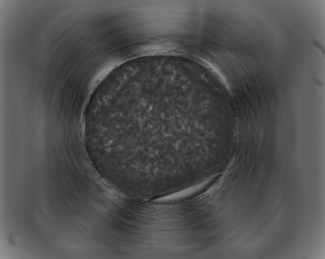 X0000091671419200709201210