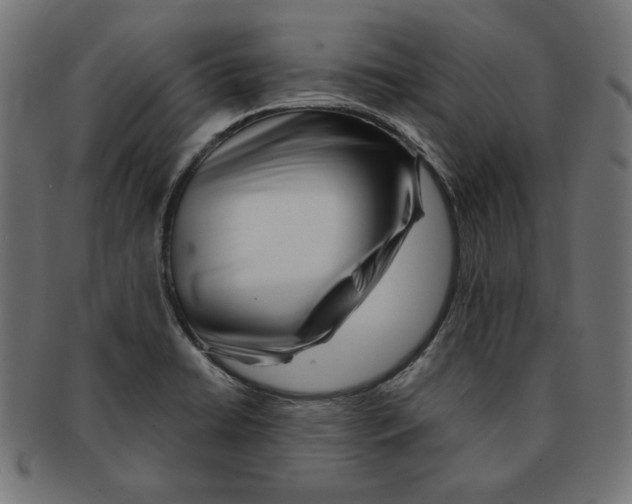 X0000091671422200709201210