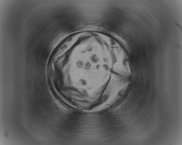 X0000091671423200709201210