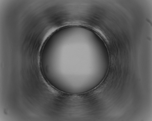 X0000091671424200709201210