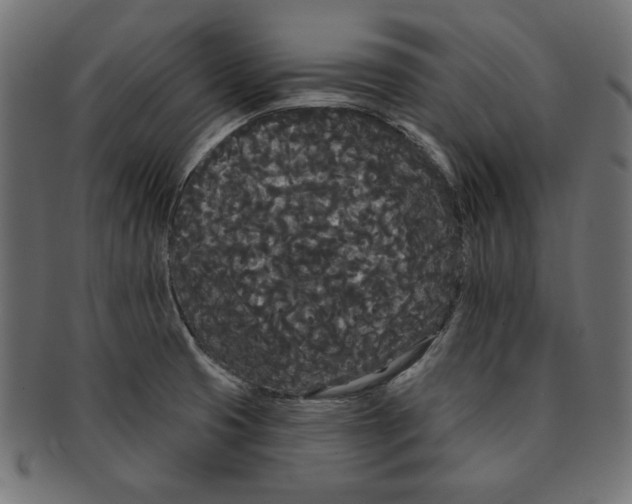 X0000091671425200709201211