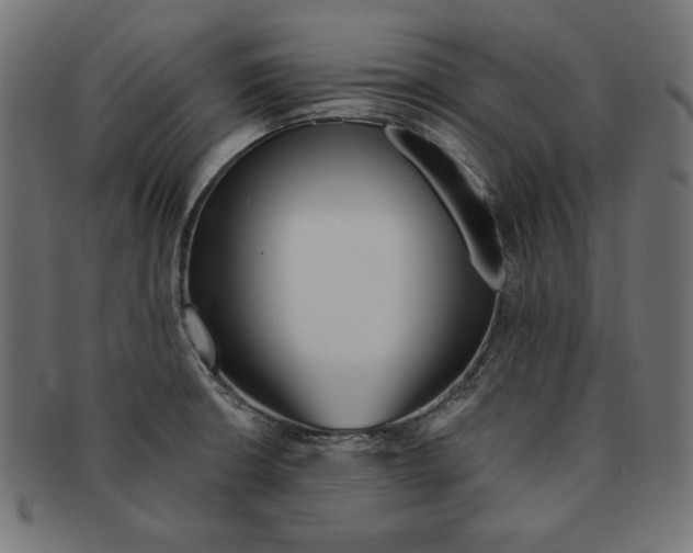 X0000091671426200709201211