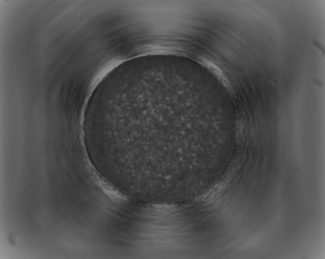 X0000091671427200709201211