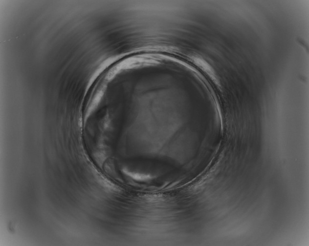 X0000091671428200709201211