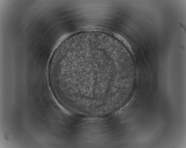 X0000091671429200709201211