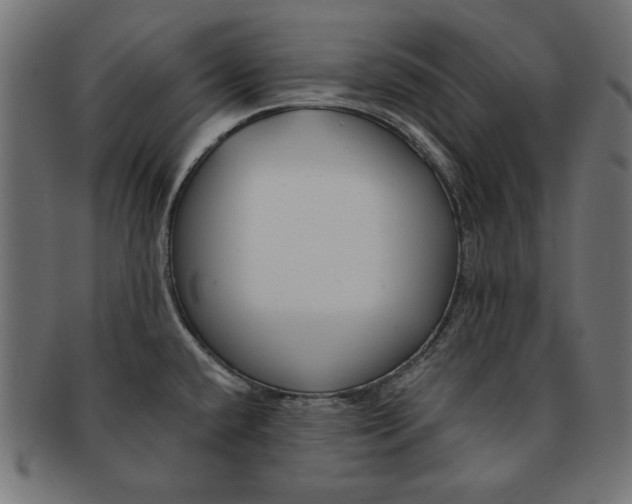 X0000091671432200709201211