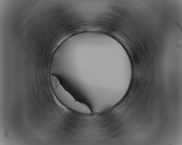 X0000091671433200709201211