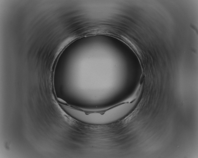 X0000091671434200709201211