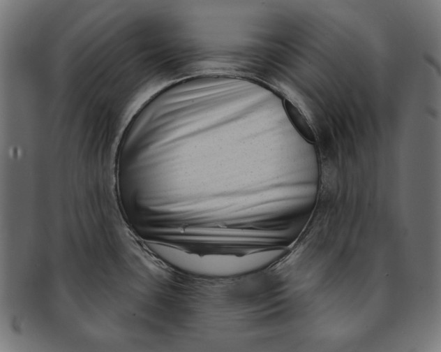 X0000091671435200709201211