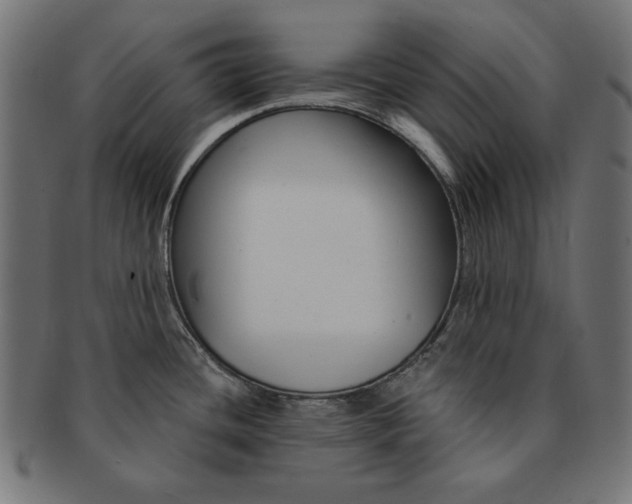 X0000091671436200709201211