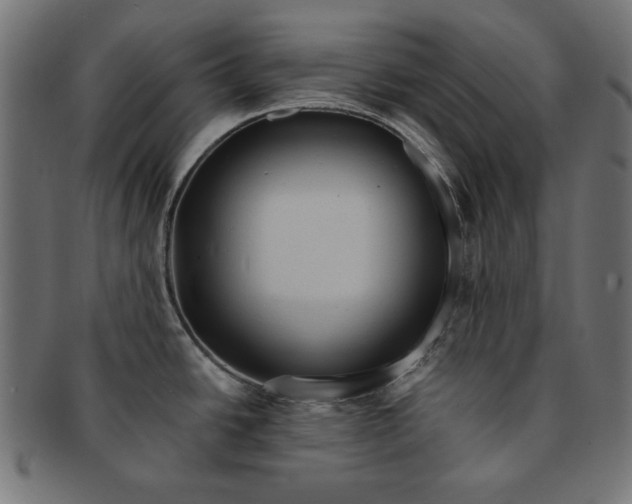 X0000091671438200709201211