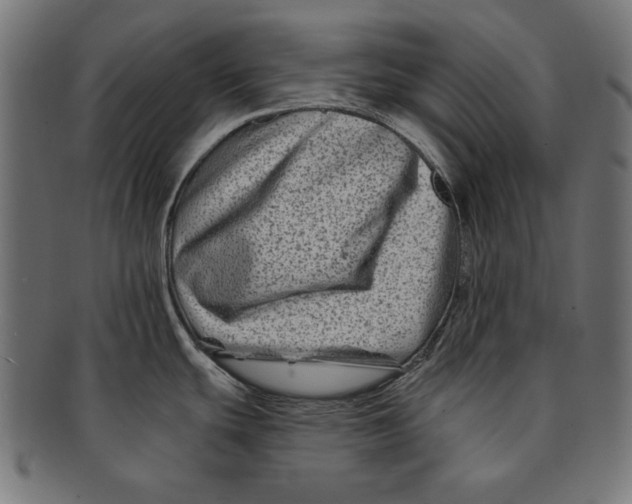 X0000091671439200709201211