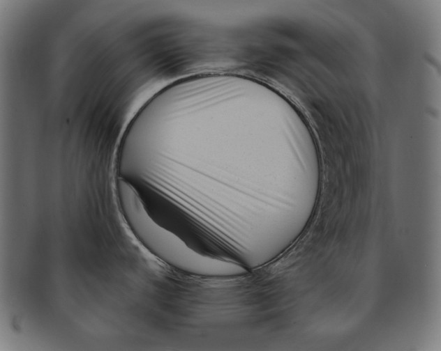 X0000091671440200709201211