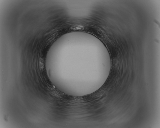 X0000091671442200709201210