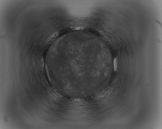 X0000091671443200709201210