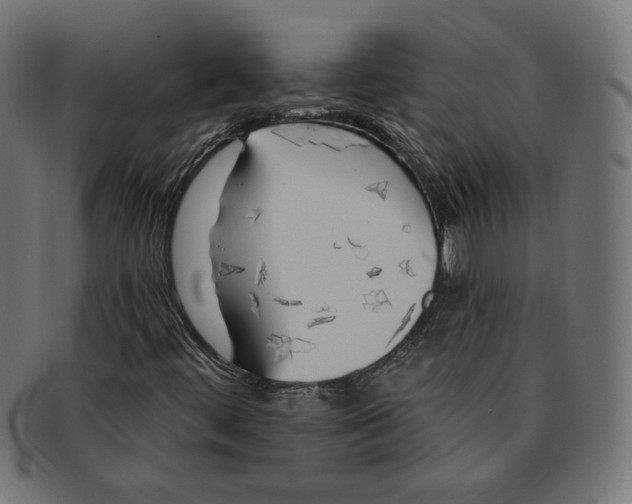 X0000091671444200709201210