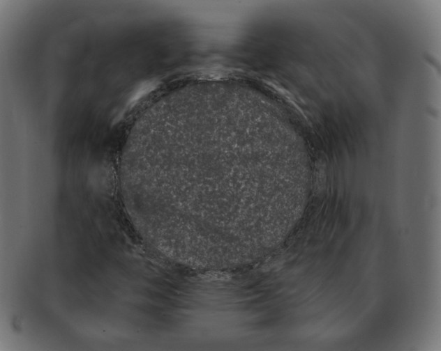 X0000091671446200709201210