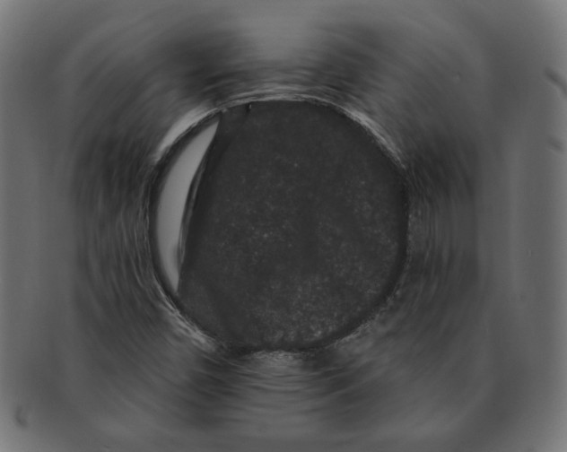 X0000091671450200709201210