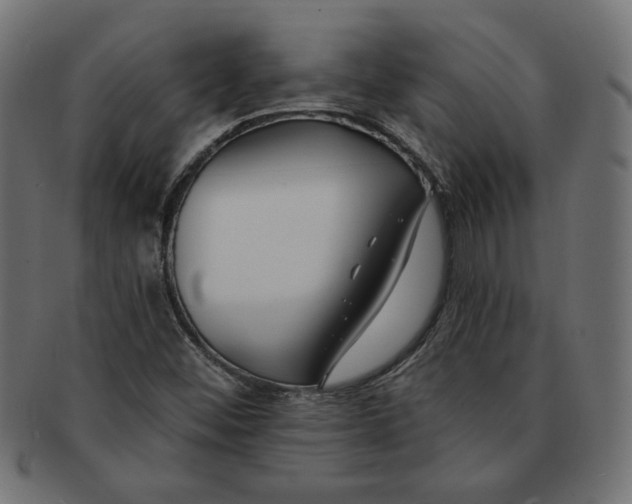 X0000091671452200709201210