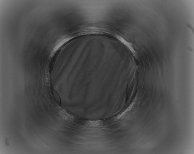 X0000091671453200709201210