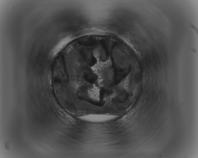 X0000091671455200709201210