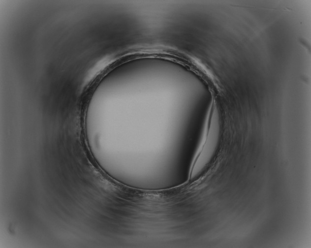 X0000091671456200709201210