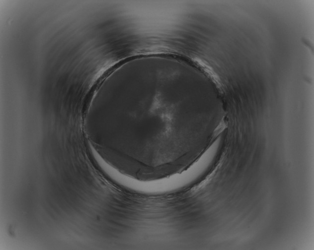 X0000091671457200709201210