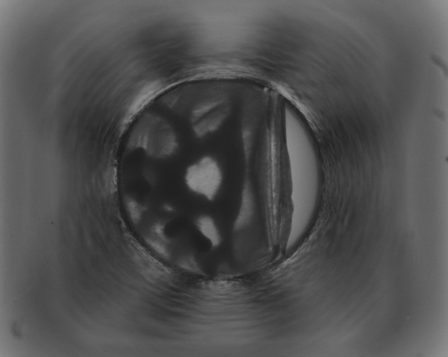 X0000091671459200709201210