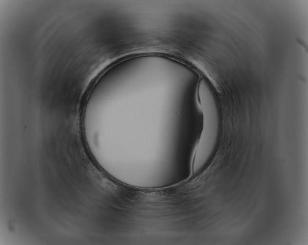 X0000091671460200709201210