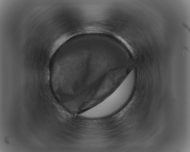 X0000091671461200709201210