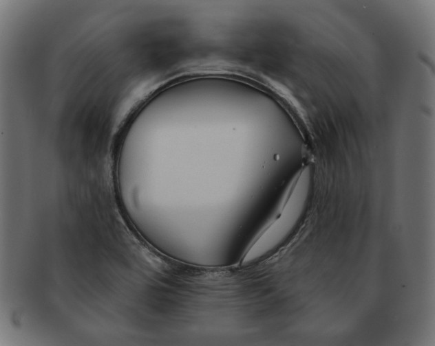 X0000091671464200709201210