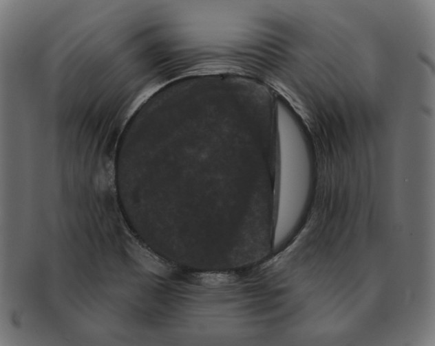 X0000091671465200709201210