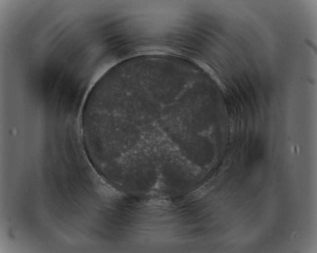 X0000091671466200709201210