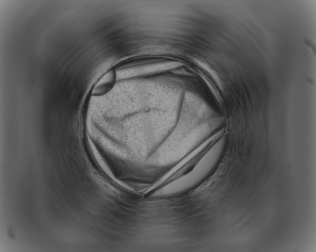 X0000091671467200709201210