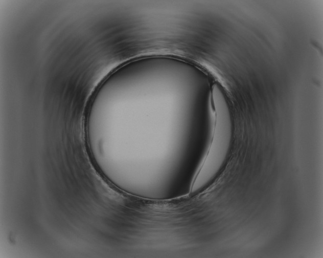 X0000091671468200709201210