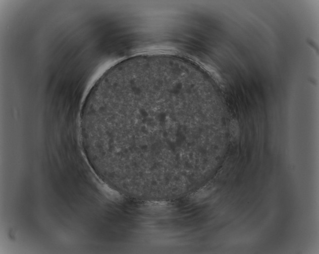 X0000091671470200709201210