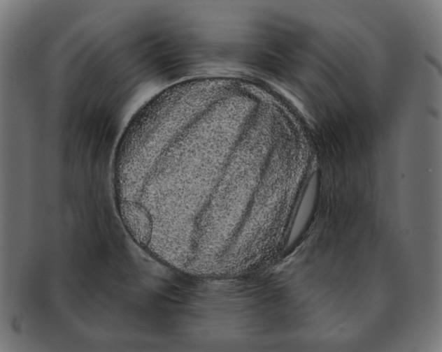 X0000091671471200709201210