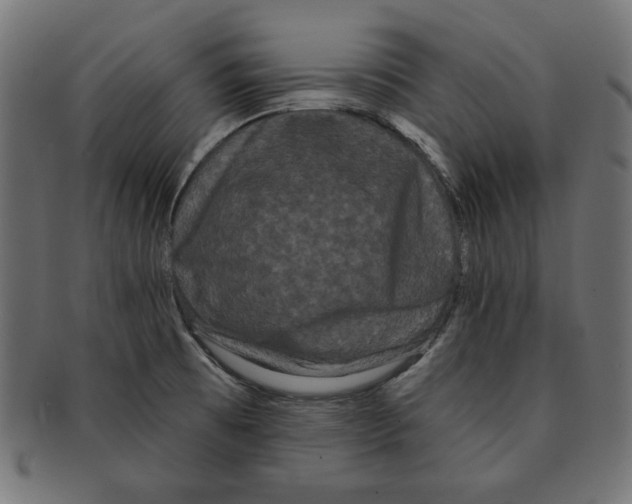 X0000091671473200709201210