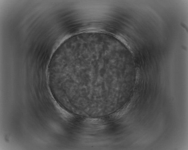 X0000091671474200709201210