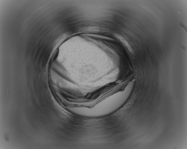 X0000091671475200709201210