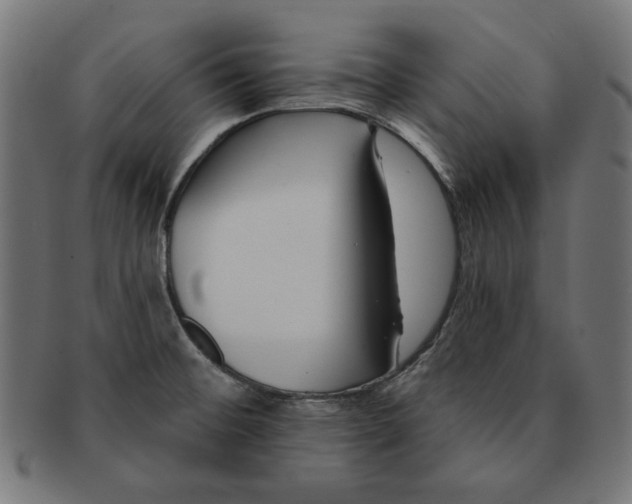 X0000091671476200709201210