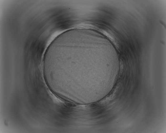 X0000091671478200709201210