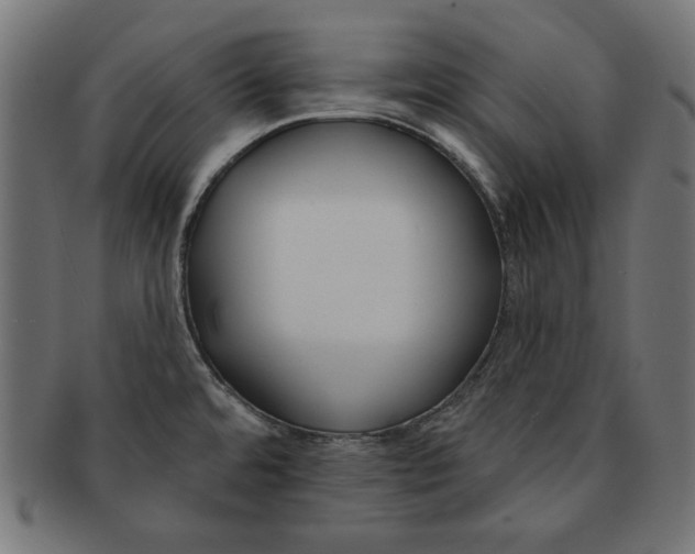 X0000091671480200709201210