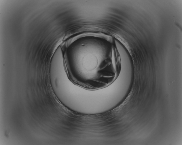 X0000091671481200709201210